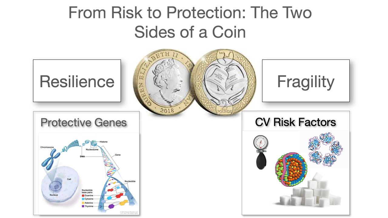 From Risk to Protection: The Two Sides of a Coin